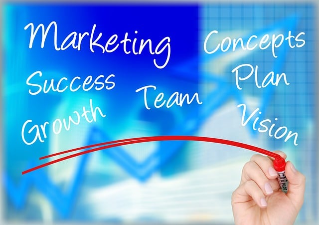 marketing agency Albany