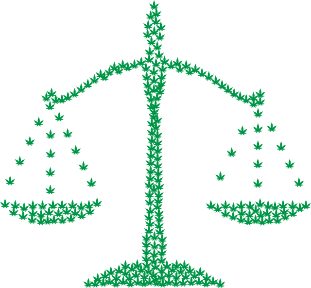 medical malpractice law firm Albany