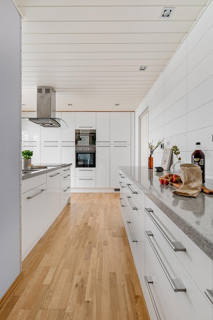 Modern apartments for rent in Albany