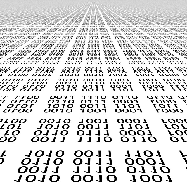 on-site data destruction Albany