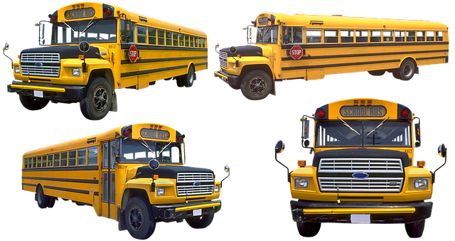 school paving contractor Albany