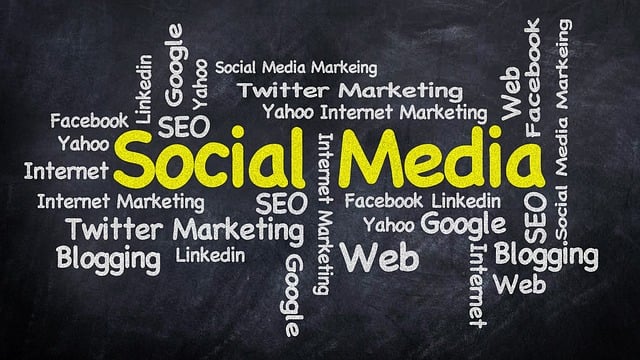 SEO agency Albany
