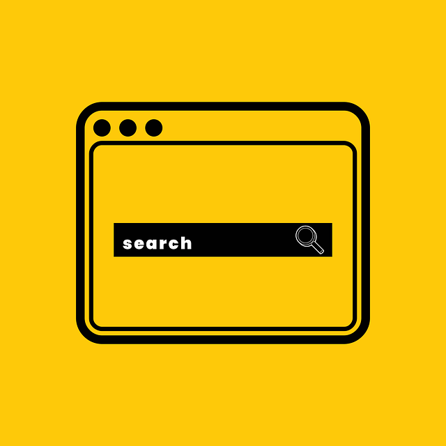 SEO company Albany