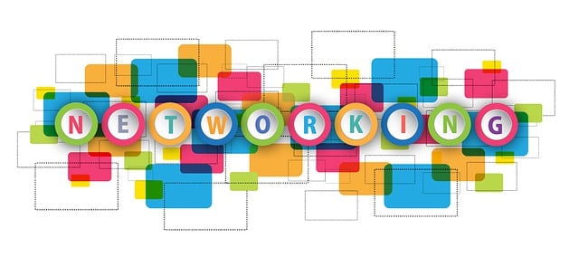 social-media-management-agency-albany-640x480-15186592.jpeg