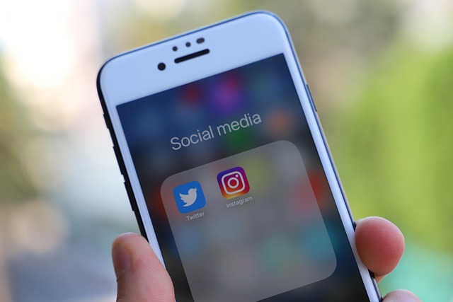 social media management agency Albany