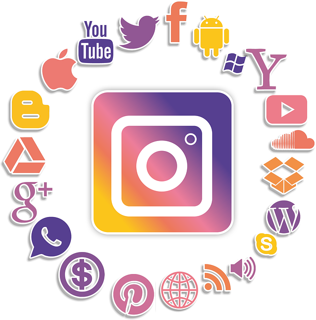social media management agency Albany