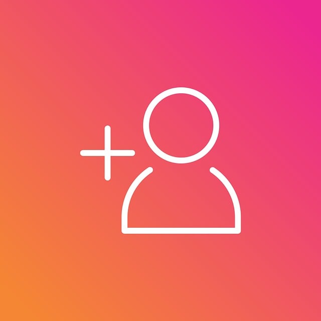 social media management agency Albany