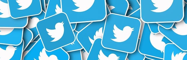 social media management agency Albany
