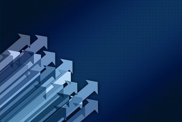 social media management agency Albany