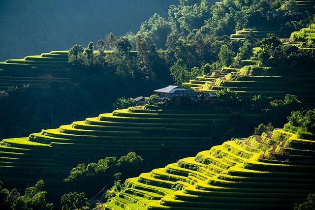 Studio apartments in Albany, NY