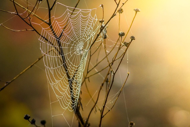 web-design-albany-640x480-1356480.jpeg