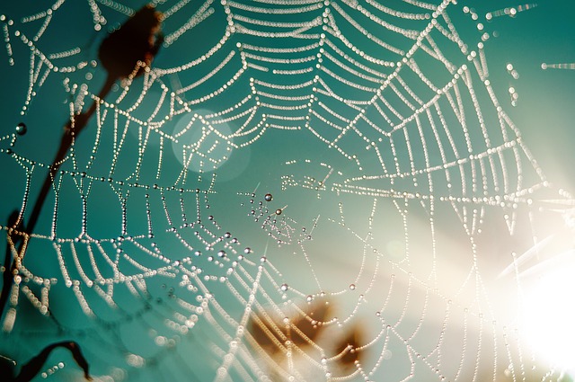 web design Albany