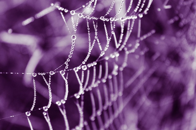 web design Albany