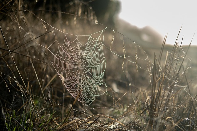 web design Albany