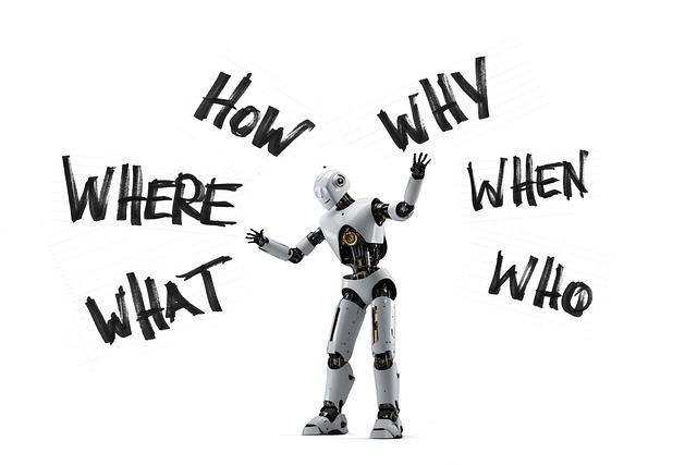 What to Do After Albany Car Accident