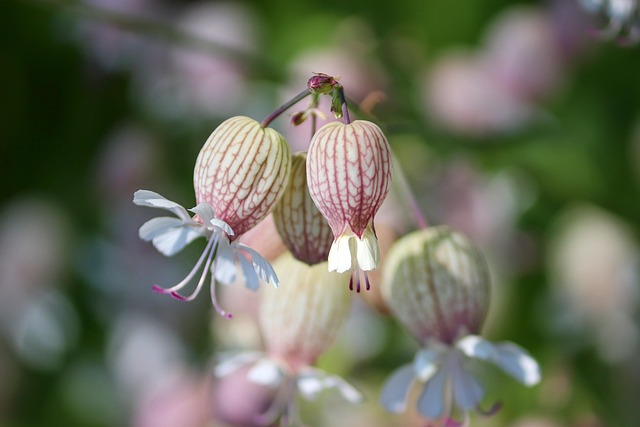 Advantages of Glue Laminated Beams