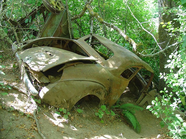 Albany Car Accident Settlement Attorney