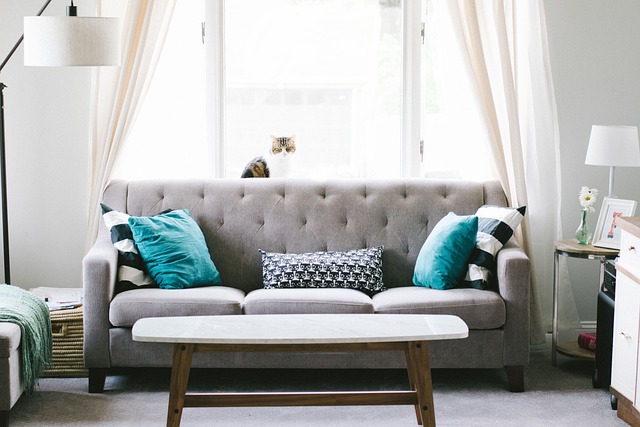 Albany Interior Design Firm