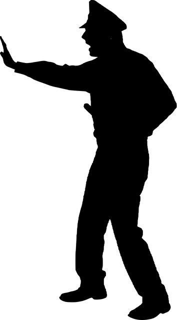 Albany NY Criminal Law Firm