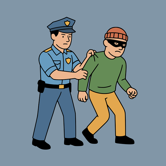 Albany NY Criminal Law Firm