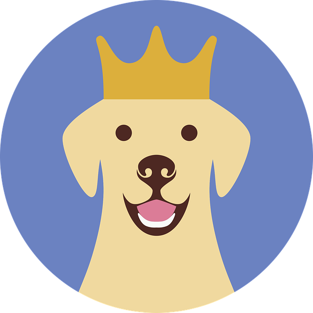 Albany pet friendly housing