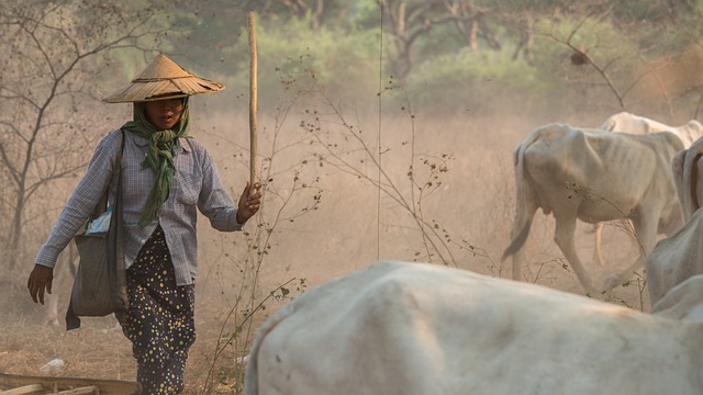 Albany workers comp claim lawyer