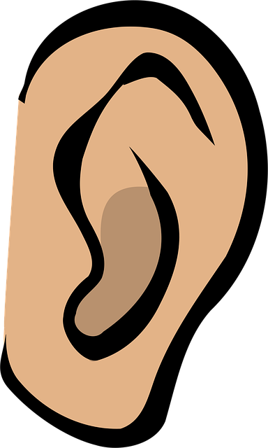 Albany workers comp hearing lawyer