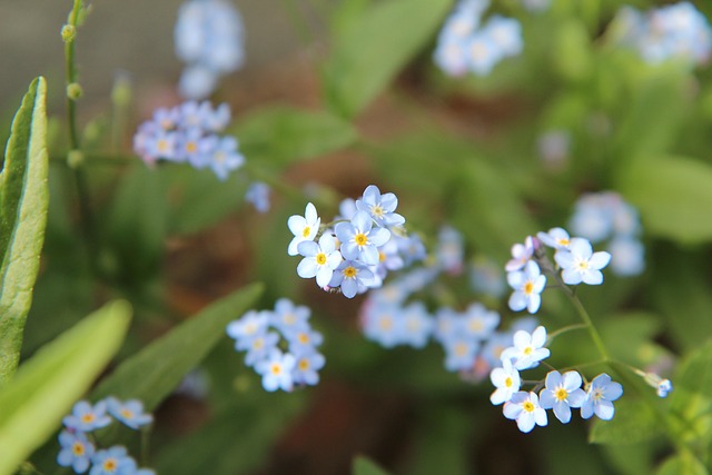 Apartment rentals near me in Albany