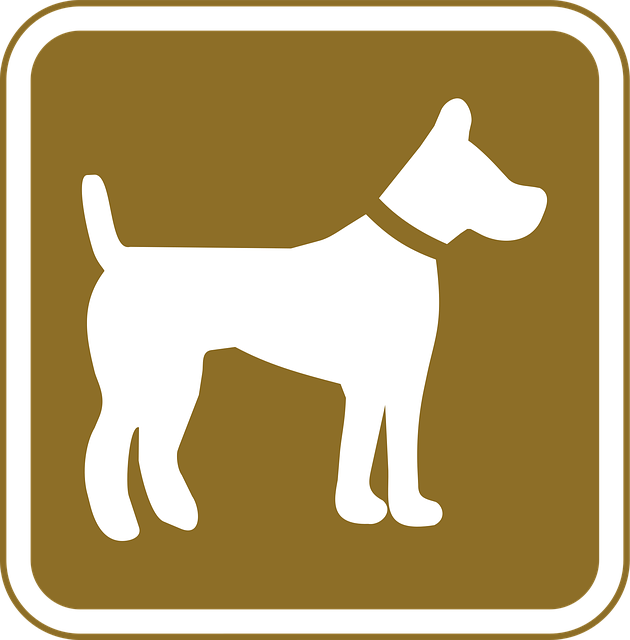 Apartments that allow dogs in Albany, NY