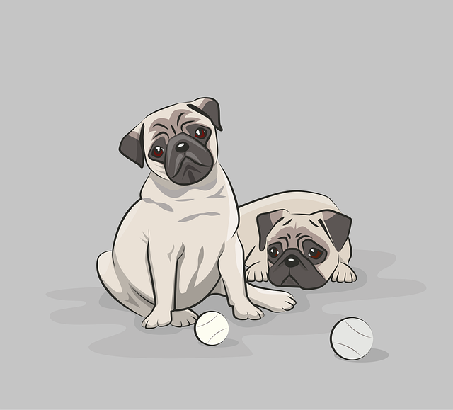 Cheap pet friendly apartment rentals Albany