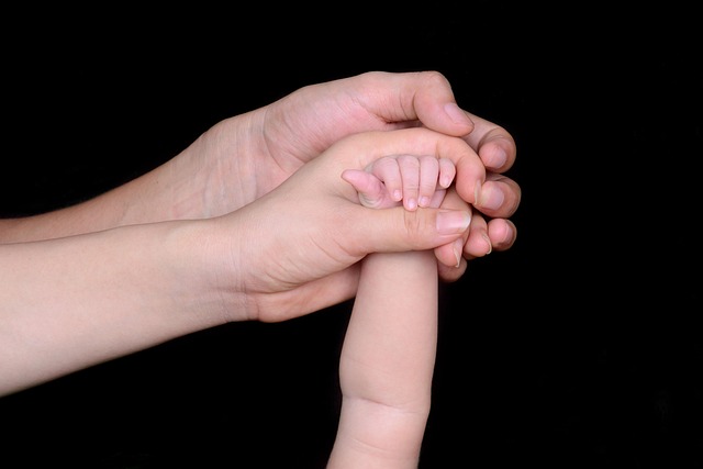 Child Support Lawyer Albany