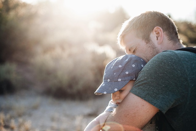 Child Support Lawyer Albany