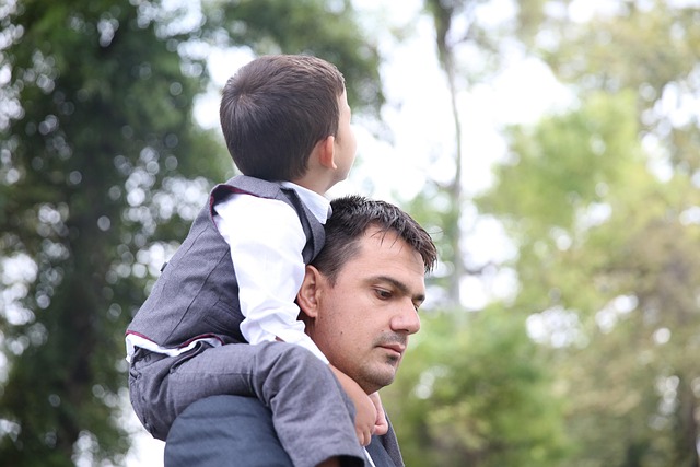 Child Support Lawyer Albany