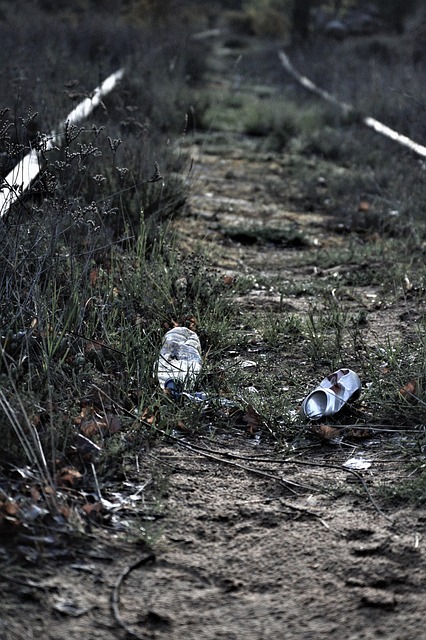 commercial e-waste recycling Albany