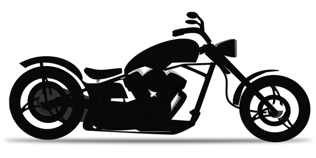 custom website design Albany