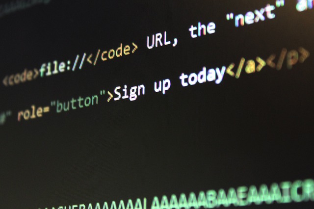 custom website design Albany