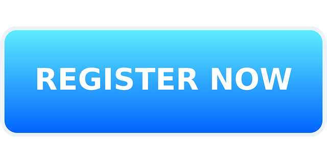 custom website design Albany