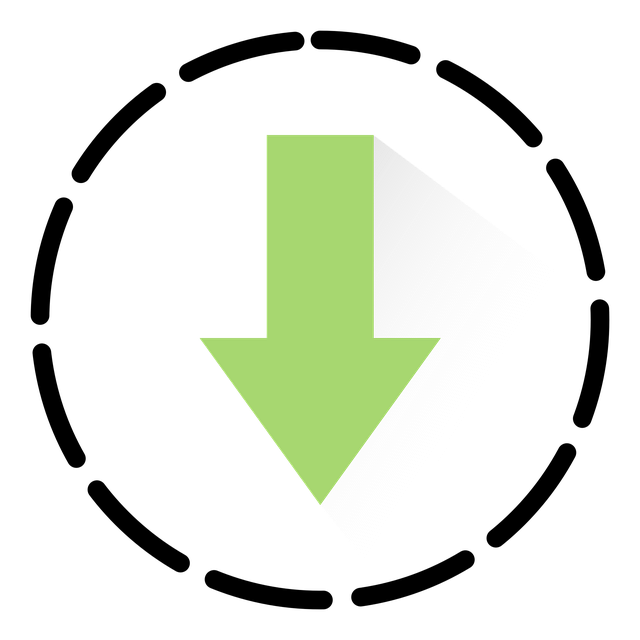 custom website design Albany