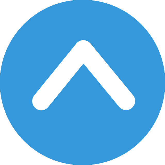 custom website design Albany