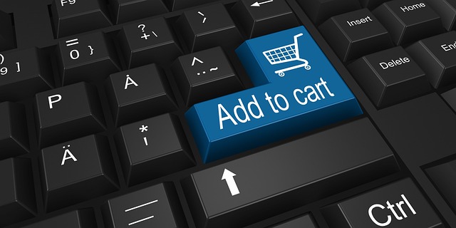 custom website design Albany