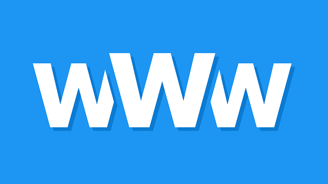 custom website design Albany