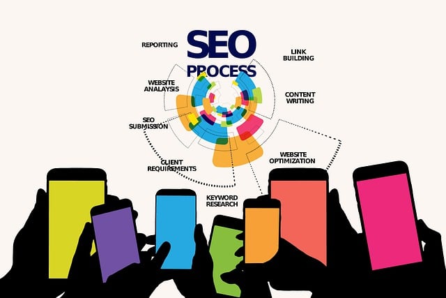 digital marketing agency Albany