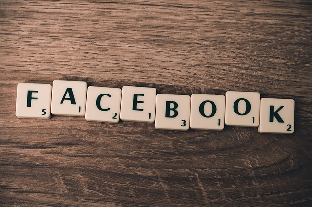 digital marketing agency Albany