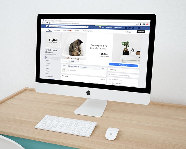 digital marketing agency Albany
