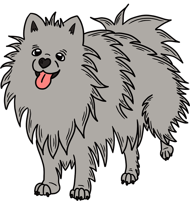 Dog parks near pet friendly apartments Albany