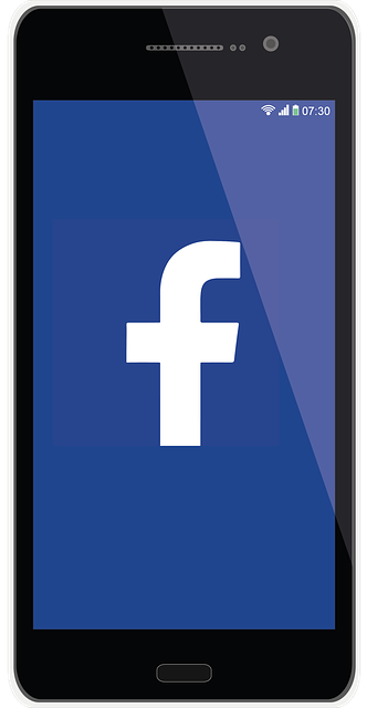 Facebook Ads agency Albany