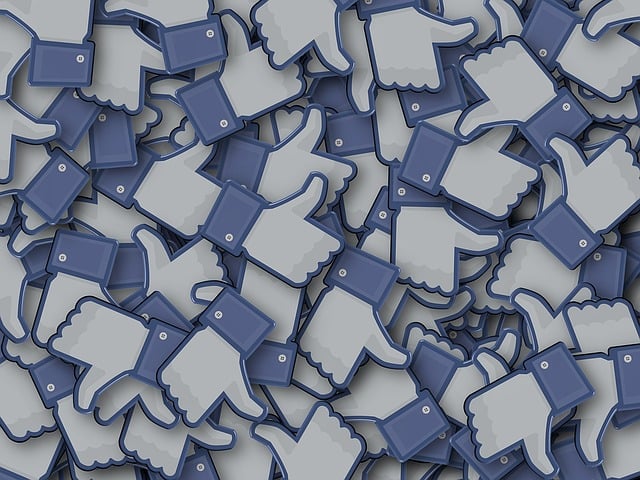Facebook Ads agency Albany