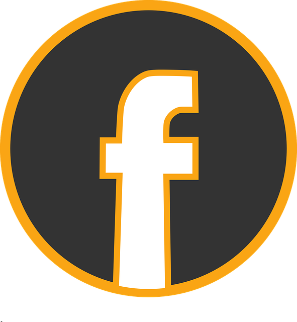facebook-ads-agency-albany-640x480-73878367.png