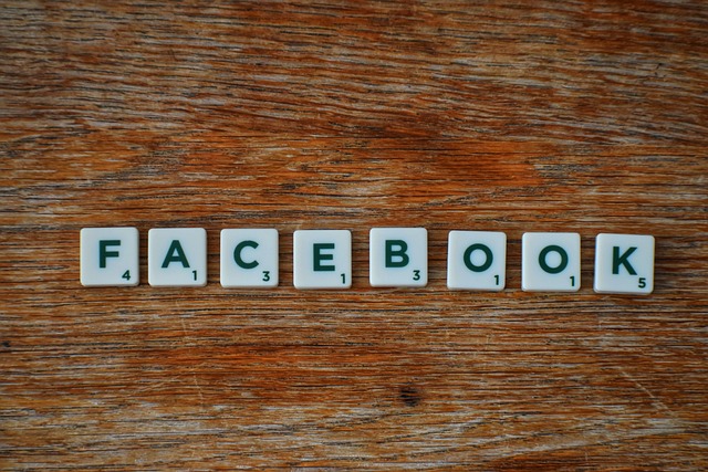 Facebook Ads agency Albany