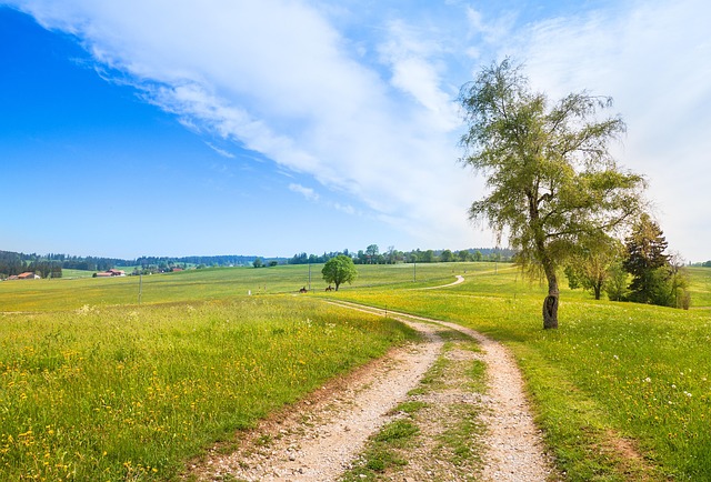 Family Law Mediation Albany